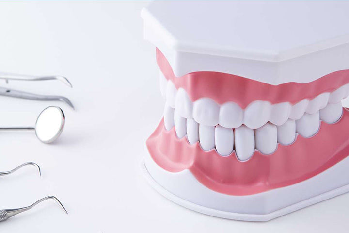 顎にぴったりフィットする「吸着義歯」